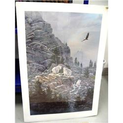 Shrink wrapped print by Kelley of 3 mountain goats and eagle (53)