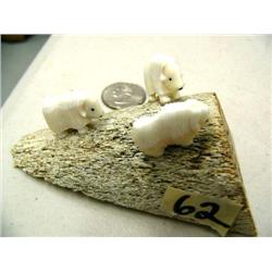 3 musk ox on bone (2)