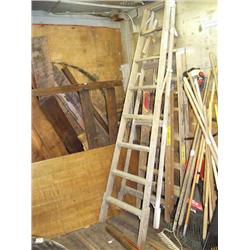Lot of 3 ladders (81)