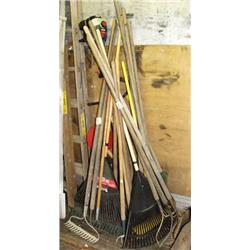 Lot of garden tools- primarily rakes (81)