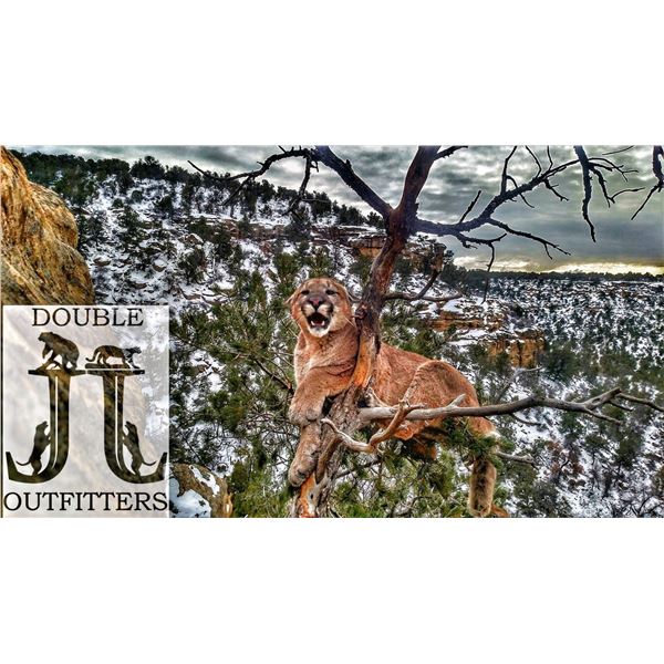 5-Day New Mexico Mountain Lion Hunt for 1 Hunter