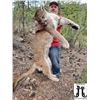 Image 3 : 5-Day New Mexico Mountain Lion Hunt for 1 Hunter