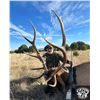 Image 3 : Fully Guided Private Land Trophy Bull Elk Hunt in New Mexico for 1 Hunter GMU 36 in 2024 w/ LOETH