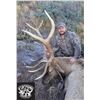 Image 4 : Fully Guided Private Land Trophy Bull Elk Hunt in New Mexico for 1 Hunter GMU 36 in 2024 w/ LOETH
