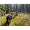 Image 7 : Drop Camp Service for 2 Hunters in the San Juan National Forest Colorado w/ Western Sky Outfitters