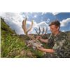 Image 9 : Drop Camp Service for 2 Hunters in the San Juan National Forest Colorado w/ Western Sky Outfitters
