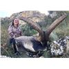 Image 5 : Beceite Ibex hunt in Zaragoza Spain donated by 4 Aces Outfitters