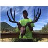 Image 1 : Fully Guided Trophy Mule Deer Hunt in Southwest Colorado w/ Western Sky Outfitters November 2025