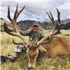 Image 1 : 5 Day Silver Medal Red Stag Hunt for 1 Hunter in New Zealand With Glen Dene Hunting & Fishing