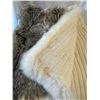 Image 4 : Arctic Wolf Blanket
