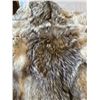 Image 7 : Arctic Wolf Blanket