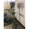 Image 2 : MAGNUM INDUSTRIAL MODEL M1-76150 SHOP DRILL PRESS