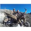 Image 4 : 3 Day BECEITE Ibex Ibex hunt for 1 Hunter with Spain Hunting Ibex – Includes up to 69" BECEITE Ibex