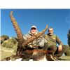 Image 7 : 3 Day BECEITE Ibex Ibex hunt for 1 Hunter with Spain Hunting Ibex – Includes up to 69" BECEITE Ibex