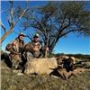 Image 3 : 5 Day/5 Night Hunt for 1 Wildboar & 1 Patagonia Ram for 2 Hunters in La Pampa State Argentina