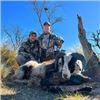 Image 7 : 5 Day/5 Night Hunt for 1 Wildboar & 1 Patagonia Ram for 2 Hunters in La Pampa State Argentina