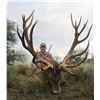 Image 1 : Spectacular 6 Day/5 Night Hunt in Argentina with Estancia El Carrizal for 1 Red Stag and 1 Blackbuck