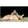 Image 12 : 6 Day African Plains Game Hunt (8 Animals) for 2 Youth Hunters with Jannie Otto Safaris