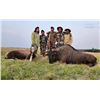 Image 13 : 6 Day African Plains Game Hunt (8 Animals) for 2 Youth Hunters with Jannie Otto Safaris
