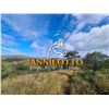 Image 2 : 6 Day African Plains Game Hunt (8 Animals) for 2 Youth Hunters with Jannie Otto Safaris
