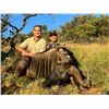 Image 6 : 6 Day African Plains Game Hunt (8 Animals) for 2 Youth Hunters with Jannie Otto Safaris