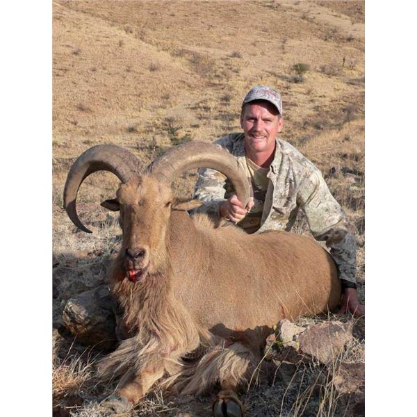 RAFFLE*5 Day Fully Guided Trophy Aoudad Hunt in West Texas w/ Rowdy McBride Hunting Services*RAFFLE