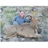 Image 3 : RAFFLE*5 Day Fully Guided Trophy Aoudad Hunt in West Texas w/ Rowdy McBride Hunting Services*RAFFLE