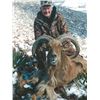 Image 6 : RAFFLE*5 Day Fully Guided Trophy Aoudad Hunt in West Texas w/ Rowdy McBride Hunting Services*RAFFLE