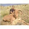 Image 7 : RAFFLE*5 Day Fully Guided Trophy Aoudad Hunt in West Texas w/ Rowdy McBride Hunting Services*RAFFLE