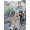 Image 8 : RAFFLE*5 Day Fully Guided Trophy Aoudad Hunt in West Texas w/ Rowdy McBride Hunting Services*RAFFLE