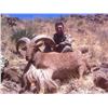 Image 9 : RAFFLE*5 Day Fully Guided Trophy Aoudad Hunt in West Texas w/ Rowdy McBride Hunting Services*RAFFLE