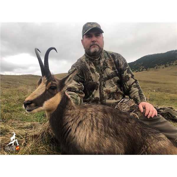4 Day Hunt for 1 Hunter & 1 Observer in Northeast Spain to hunt 1 Pyrenean Chamois or 1 Roe Deer wit