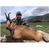 Image 2 : 4 Day Hunt for 1 Hunter & 1 Observer in Northeast Spain to hunt 1 Pyrenean Chamois or 1 Roe Deer wit