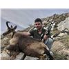 Image 3 : 4 Day Hunt for 1 Hunter & 1 Observer in Northeast Spain to hunt 1 Pyrenean Chamois or 1 Roe Deer wit