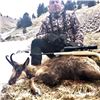 Image 4 : 4 Day Hunt for 1 Hunter & 1 Observer in Northeast Spain to hunt 1 Pyrenean Chamois or 1 Roe Deer wit