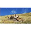 Image 5 : 4 Day Hunt for 1 Hunter & 1 Observer in Northeast Spain to hunt 1 Pyrenean Chamois or 1 Roe Deer wit