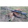 Image 8 : 4 Day Hunt for 1 Hunter & 1 Observer in Northeast Spain to hunt 1 Pyrenean Chamois or 1 Roe Deer wit