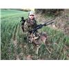 Image 9 : 4 Day Hunt for 1 Hunter & 1 Observer in Northeast Spain to hunt 1 Pyrenean Chamois or 1 Roe Deer wit
