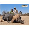 Image 1 : 10 Day/9 Night Plains Game Hunt in the Limpopo Province South Africa for 2 Hunters for 2 Buffalo