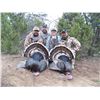 Image 1 : 3 Day Turkey Hunt for 1 Hunter and 1 Companion on Private Land in the Heart of New Mexico