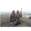 Image 2 : 3 Day Turkey Hunt for 1 Hunter and 1 Companion on Private Land in the Heart of New Mexico