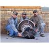 Image 5 : 3 Day Turkey Hunt for 1 Hunter and 1 Companion on Private Land in the Heart of New Mexico
