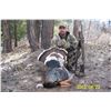 Image 8 : 3 Day Turkey Hunt for 1 Hunter and 1 Companion on Private Land in the Heart of New Mexico