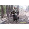 Image 9 : 3 Day Turkey Hunt for 1 Hunter and 1 Companion on Private Land in the Heart of New Mexico