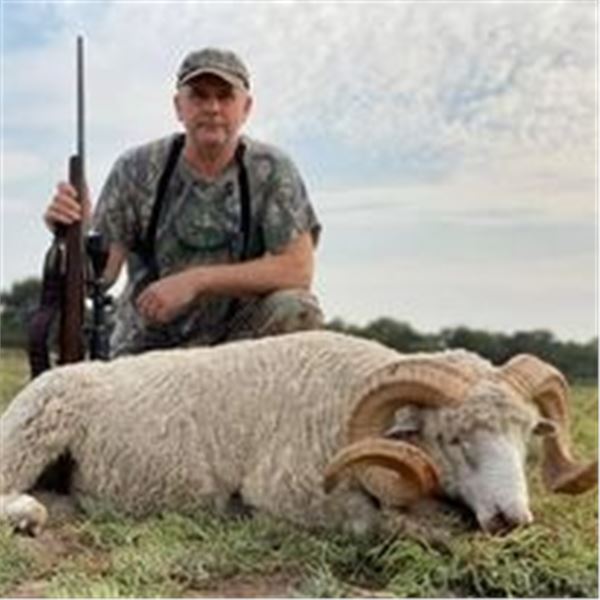 5 Day/5 Night Hunt for 1 Wildboar & 1 Patagonia Ram for 2 Hunters in La Pampa State Argentina