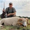 Image 1 : 5 Day/5 Night Hunt for 1 Wildboar & 1 Patagonia Ram for 2 Hunters in La Pampa State Argentina