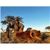 Image 4 : 5 Day/5 Night Hunt for 1 Wildboar & 1 Patagonia Ram for 2 Hunters in La Pampa State Argentina