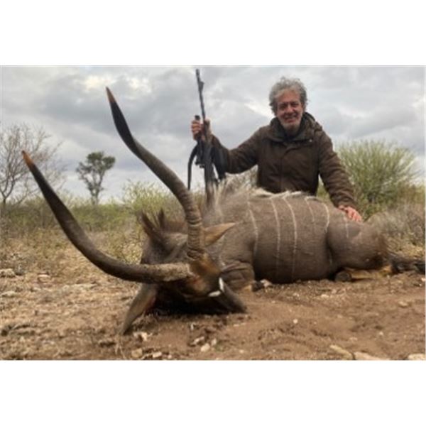 10 Day All Inclusive South Africa Safari for 1 Hunter for 4 animals with @ Africa Hunting Safaris