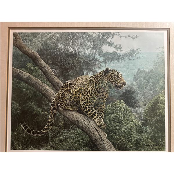 “The Solitary Hunter” - Leopard (28”x34” Framed Print)