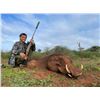Image 5 : 6 Day African Plains Game Hunt (8 Animals) for 2 Youth Hunters with Jannie Otto Safaris